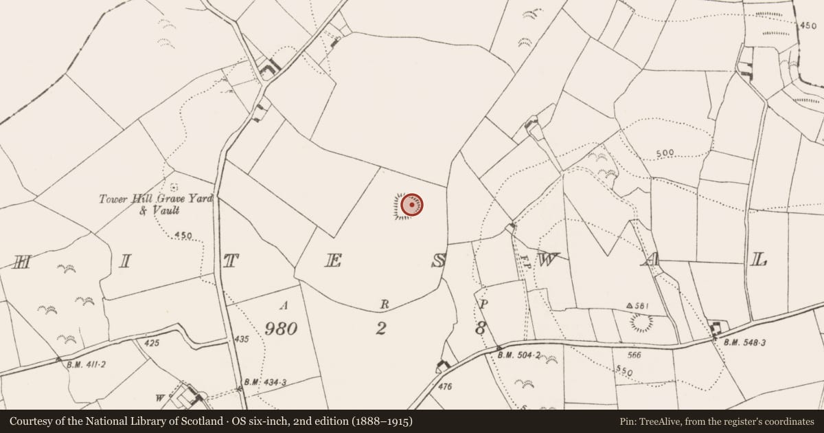 Ordnance Survey six-inch map, 2nd edition (1888–1915) covering the location of Enclosure, Whiteswall, County Kilkenny, with a pin at the register's coordinates