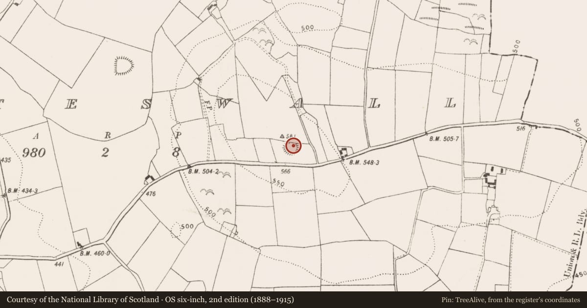 Ordnance Survey six-inch map, 2nd edition (1888–1915) covering the location of Ringfort - unclassified, Whiteswall, County Kilkenny, with a pin at the register's coordinates