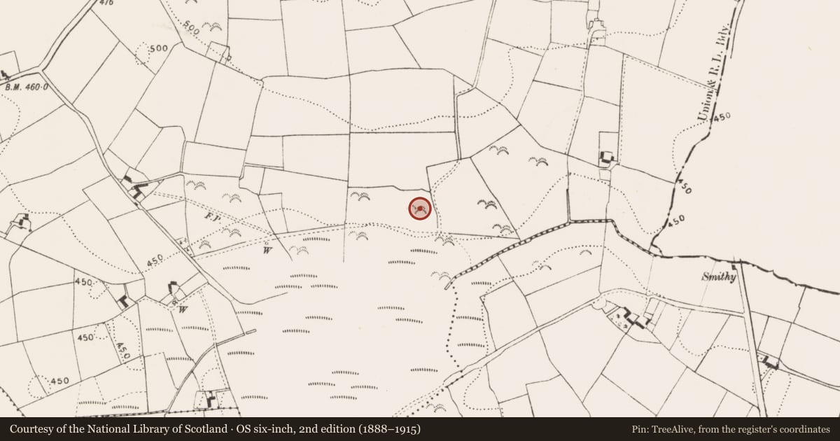 Ordnance Survey six-inch map, 2nd edition (1888–1915) covering the location of Enclosure, Whiteswall, County Kilkenny, with a pin at the register's coordinates