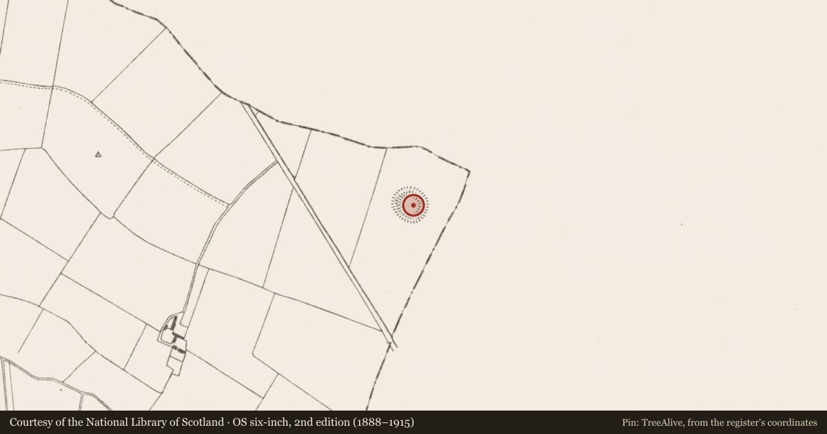 Ordnance Survey six-inch map, 2nd edition (1888–1915) covering the location of Ringfort - rath, Coolnacrutta, County Kilkenny, with a pin at the register's coordinates