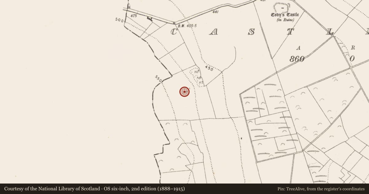 Ordnance Survey six-inch map, 2nd edition (1888–1915) covering the location of Ringfort - rath, Castletown, County Kilkenny, with a pin at the register's coordinates