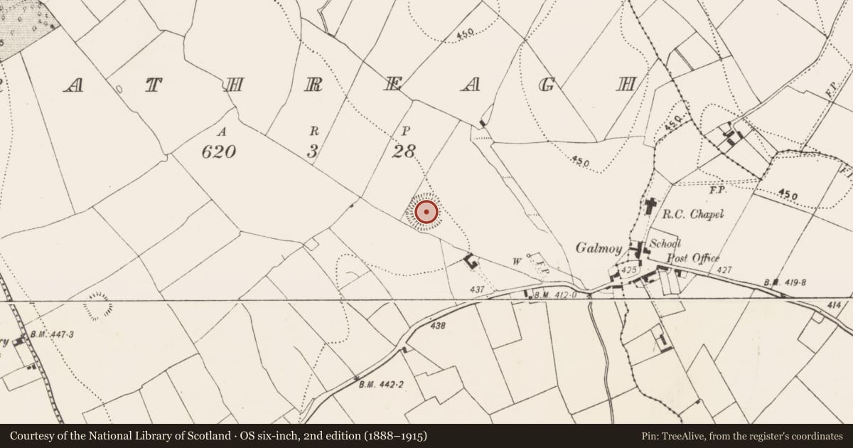 Ordnance Survey six-inch map, 2nd edition (1888–1915) covering the location of Ringfort - rath, Rathreagh, County Kilkenny, with a pin at the register's coordinates