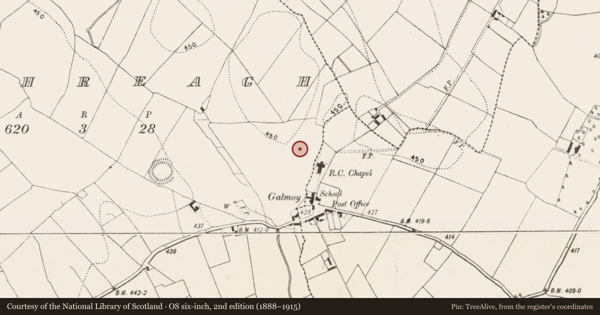 Ordnance Survey six-inch map, 2nd edition (1888–1915) covering the location of Enclosure, Rathreagh, County Kilkenny, with a pin at the register's coordinates