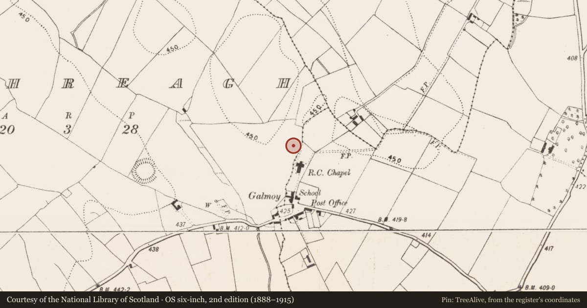 Ordnance Survey six-inch map, 2nd edition (1888–1915) covering the location of Enclosure, Rathreagh, County Kilkenny, with a pin at the register's coordinates