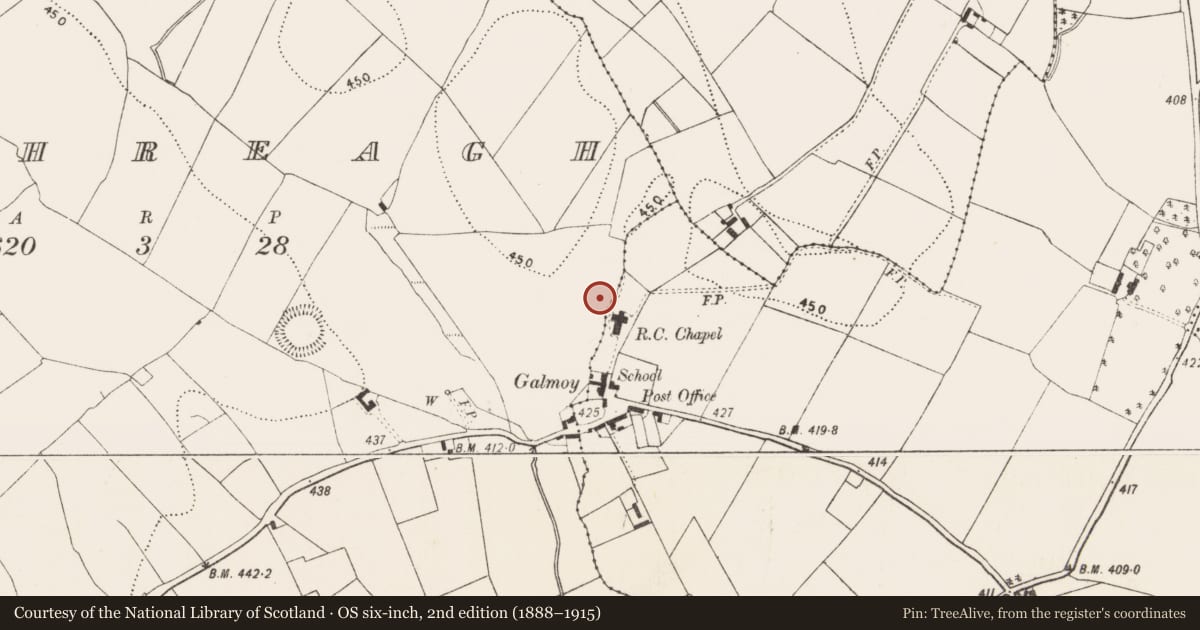 Ordnance Survey six-inch map, 2nd edition (1888–1915) covering the location of Enclosure, Rathreagh, County Kilkenny, with a pin at the register's coordinates