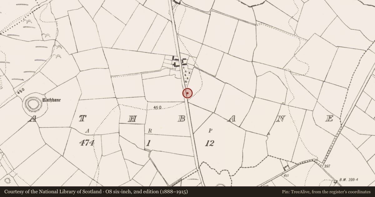 Ordnance Survey six-inch map, 2nd edition (1888–1915) covering the location of Enclosure, Rathbane, County Kilkenny, with a pin at the register's coordinates