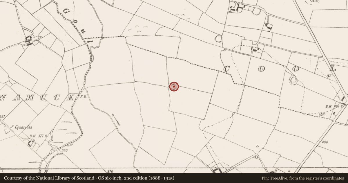 Ordnance Survey six-inch map, 2nd edition (1888–1915) covering the location of Ringfort - rath, Glashare, County Kilkenny, with a pin at the register's coordinates