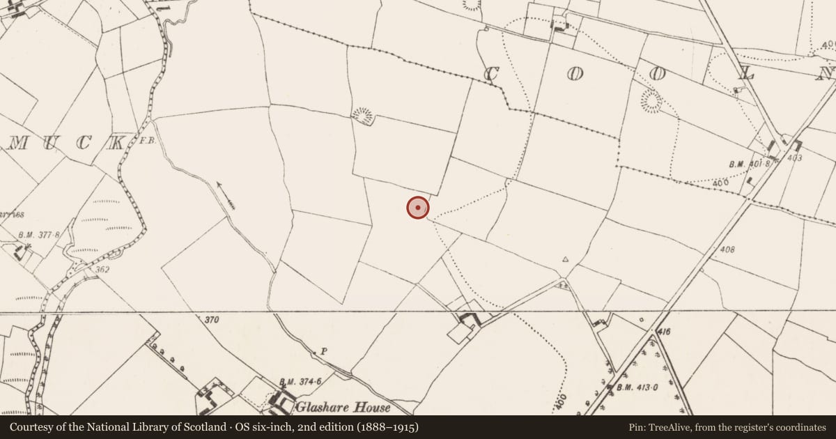 Ordnance Survey six-inch map, 2nd edition (1888–1915) covering the location of Enclosure, Glashare, County Kilkenny, with a pin at the register's coordinates