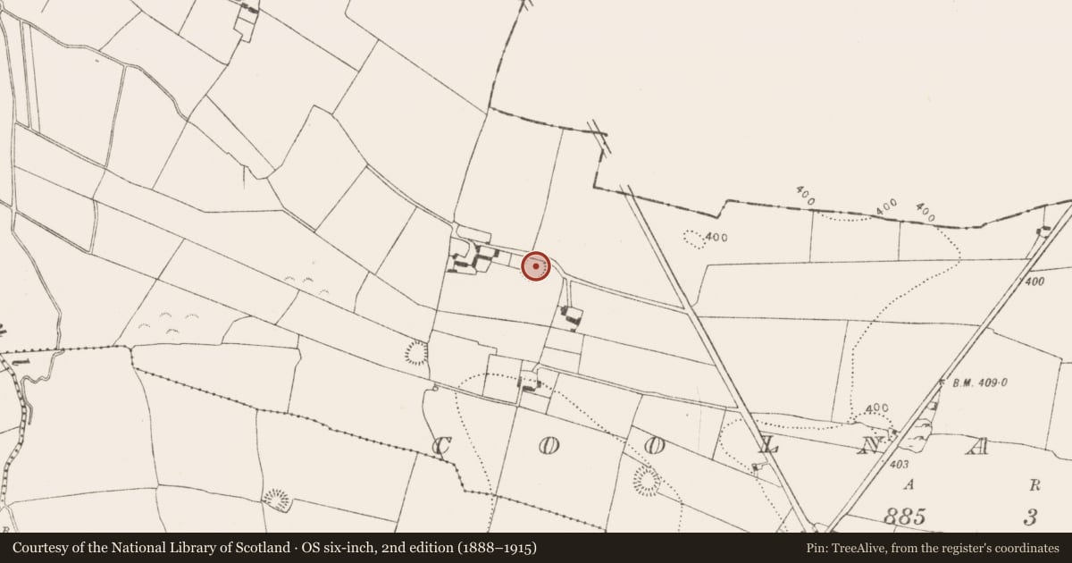 Ordnance Survey six-inch map, 2nd edition (1888–1915) covering the location of Ringfort - unclassified, Coolnacrutta, County Kilkenny, with a pin at the register's coordinates