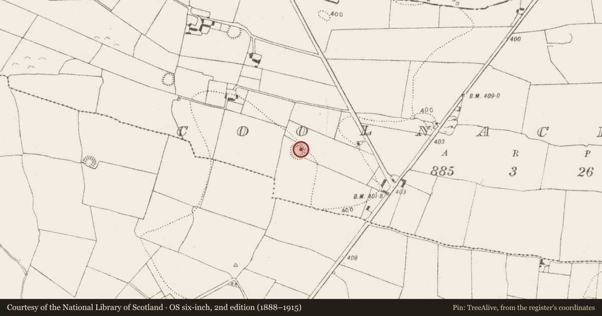 Ordnance Survey six-inch map, 2nd edition (1888–1915) covering the location of Ringfort - rath, Coolnacrutta, County Kilkenny, with a pin at the register's coordinates