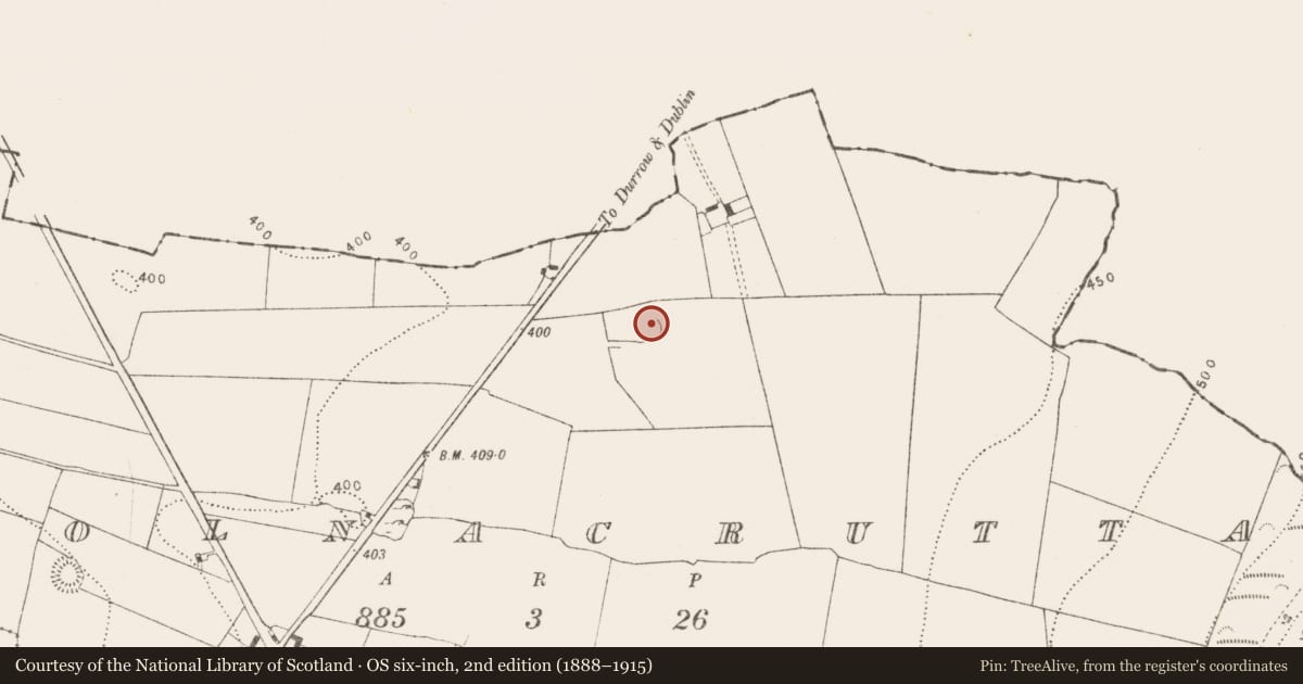Ordnance Survey six-inch map, 2nd edition (1888–1915) covering the location of Enclosure, Coolnacrutta, County Kilkenny, with a pin at the register's coordinates