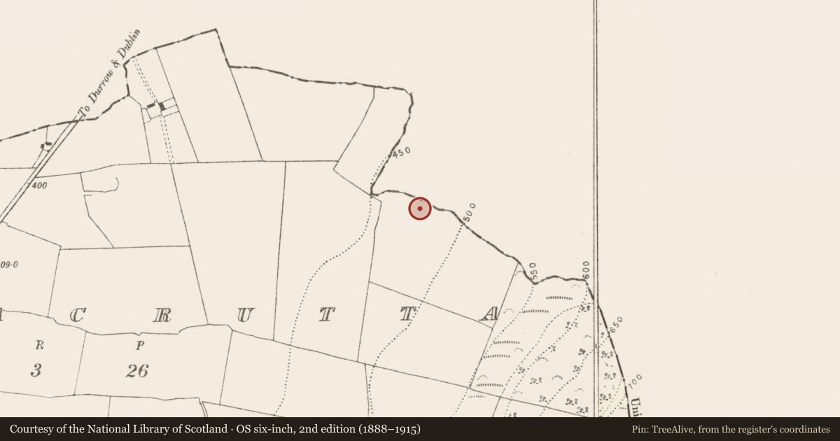 Ordnance Survey six-inch map, 2nd edition (1888–1915) covering the location of Enclosure, Coolnacrutta, County Kilkenny, with a pin at the register's coordinates