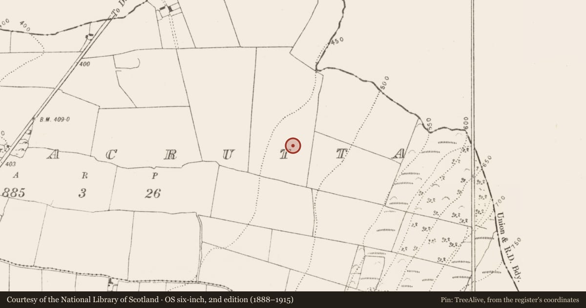 Ordnance Survey six-inch map, 2nd edition (1888–1915) covering the location of Enclosure, Coolnacrutta, County Kilkenny, with a pin at the register's coordinates