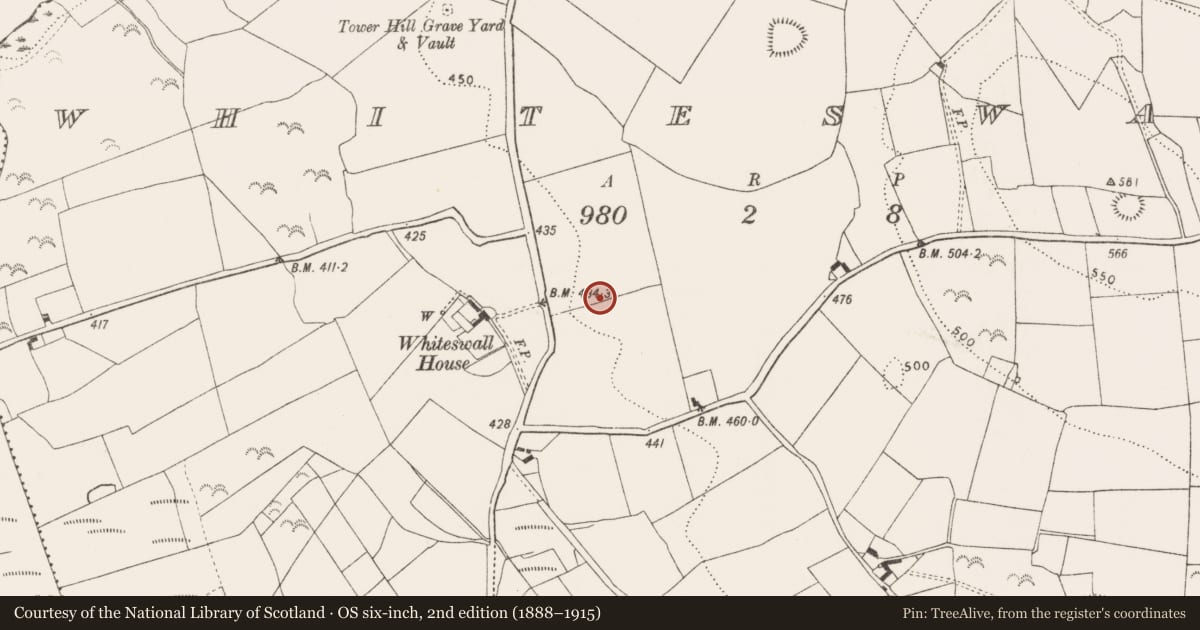 Ordnance Survey six-inch map, 2nd edition (1888–1915) covering the location of Castle - unclassified, Whiteswall, County Kilkenny, with a pin at the register's coordinates