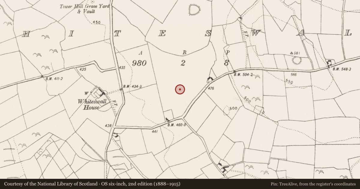 Ordnance Survey six-inch map, 2nd edition (1888–1915) covering the location of Settlement deserted - medieval, Whiteswall, County Kilkenny, with a pin at the register's coordinates