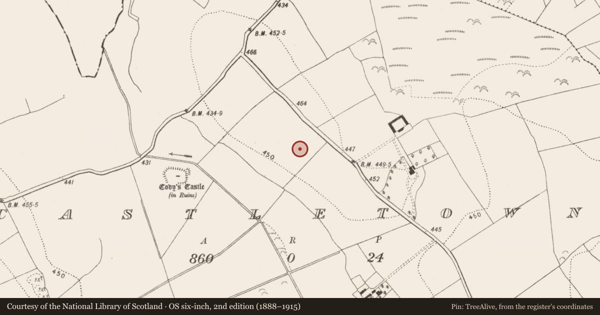 Ordnance Survey six-inch map, 2nd edition (1888–1915) covering the location of Fortification, Castletown, County Kilkenny, with a pin at the register's coordinates