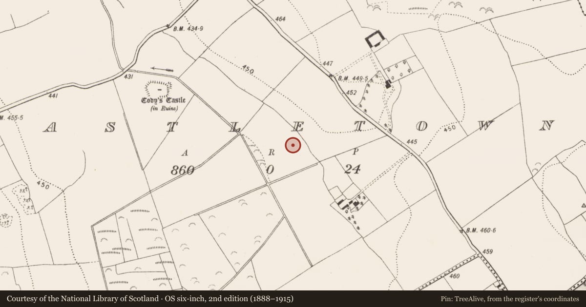 Ordnance Survey six-inch map, 2nd edition (1888–1915) covering the location of Fulacht fia, Castletown, County Kilkenny, with a pin at the register's coordinates