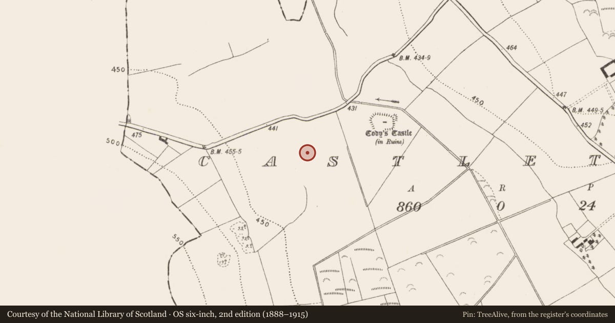Ordnance Survey six-inch map, 2nd edition (1888–1915) covering the location of Fulacht fia, Castletown, County Kilkenny, with a pin at the register's coordinates