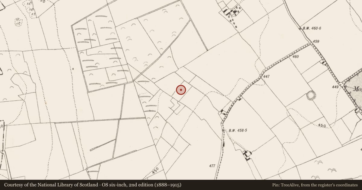 Ordnance Survey six-inch map, 2nd edition (1888–1915) covering the location of Fulacht fia, Castletown, County Kilkenny, with a pin at the register's coordinates