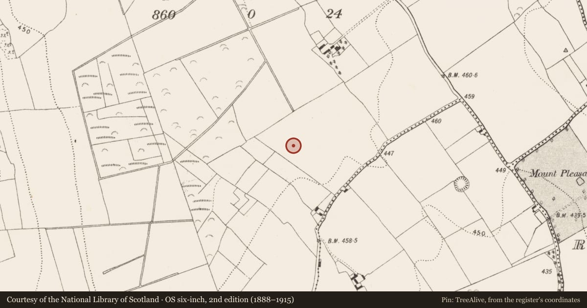 Ordnance Survey six-inch map, 2nd edition (1888–1915) covering the location of Fulacht fia, Castletown, County Kilkenny, with a pin at the register's coordinates