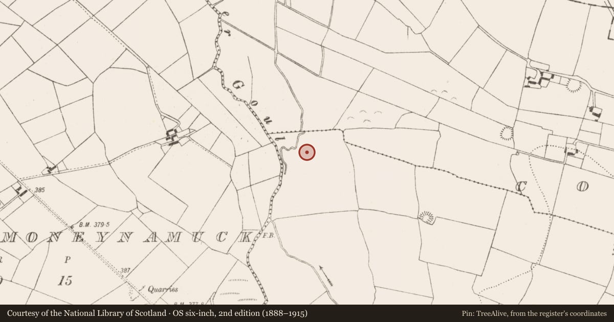Ordnance Survey six-inch map, 2nd edition (1888–1915) covering the location of Enclosure, Glashare, County Kilkenny, with a pin at the register's coordinates