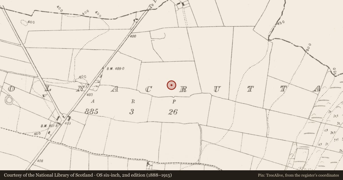 Ordnance Survey six-inch map, 2nd edition (1888–1915) covering the location of Enclosure, Coolnacrutta, County Kilkenny, with a pin at the register's coordinates