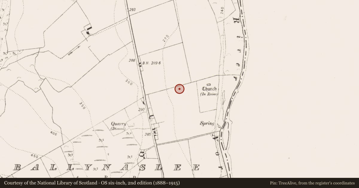 Ordnance Survey six-inch map, 2nd edition (1888–1915) covering the location of Enclosure, Ballynaslee, County Kilkenny, with a pin at the register's coordinates