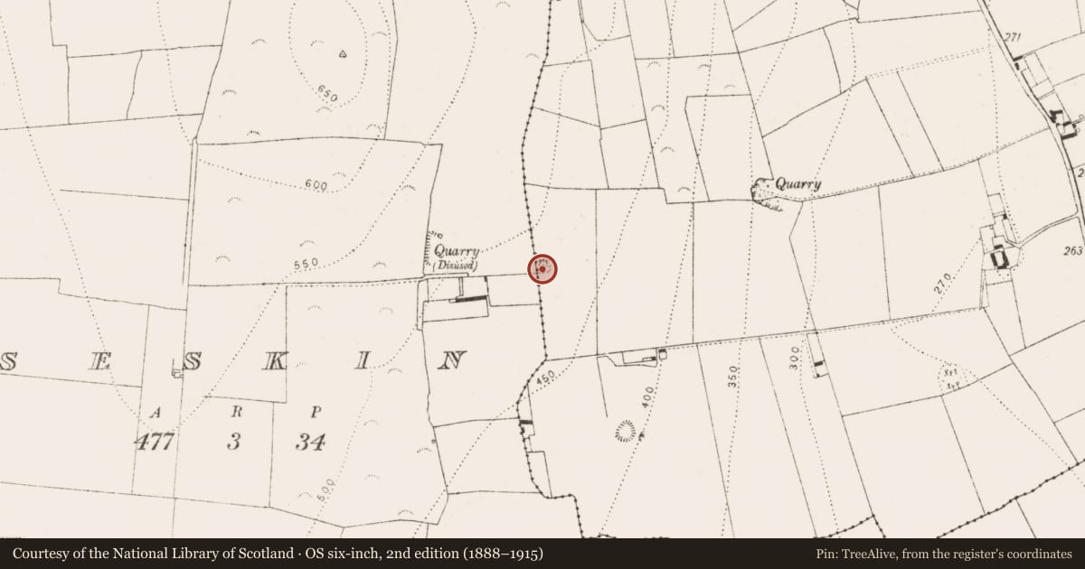 Ordnance Survey six-inch map, 2nd edition (1888–1915) covering the location of Enclosure, Ballynaslee, Seskin, County Kilkenny, with a pin at the register's coordinates