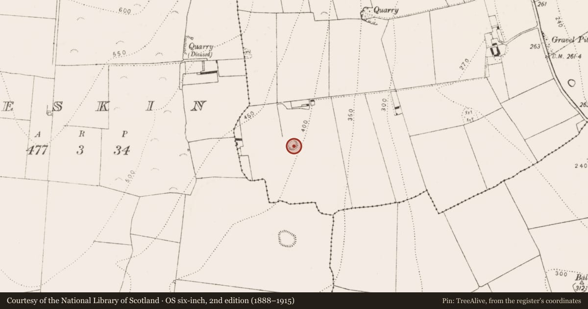Ordnance Survey six-inch map, 2nd edition (1888–1915) covering the location of Enclosure, Ballynaslee, County Kilkenny, with a pin at the register's coordinates
