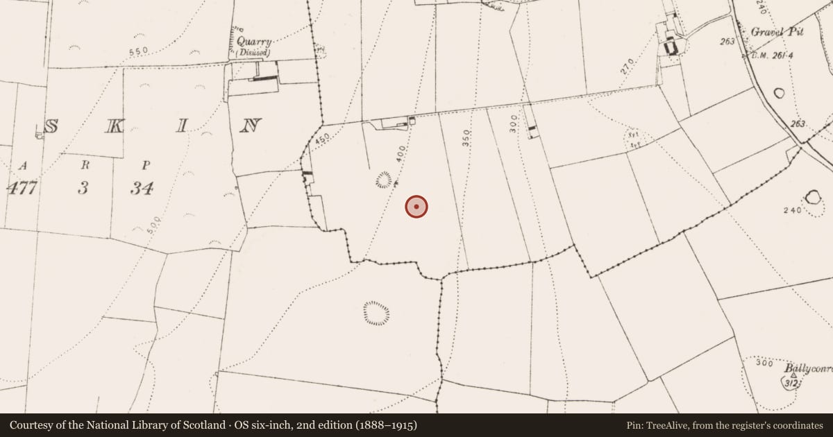 Ordnance Survey six-inch map, 2nd edition (1888–1915) covering the location of Megalithic structure, Ballynaslee, County Kilkenny, with a pin at the register's coordinates