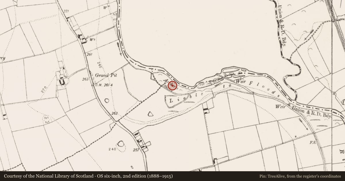 Ordnance Survey six-inch map, 2nd edition (1888–1915) covering the location of Graveyard, Ballyconra, County Kilkenny, with a pin at the register's coordinates