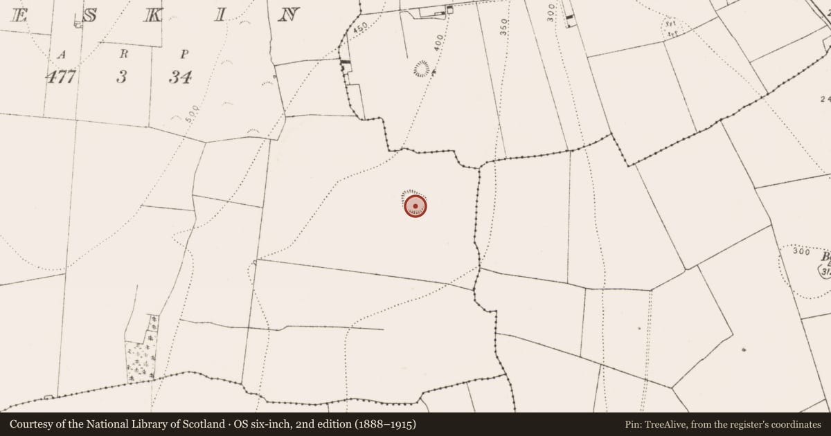 Ordnance Survey six-inch map, 2nd edition (1888–1915) covering the location of Ringfort - rath, Seskin, County Kilkenny, with a pin at the register's coordinates