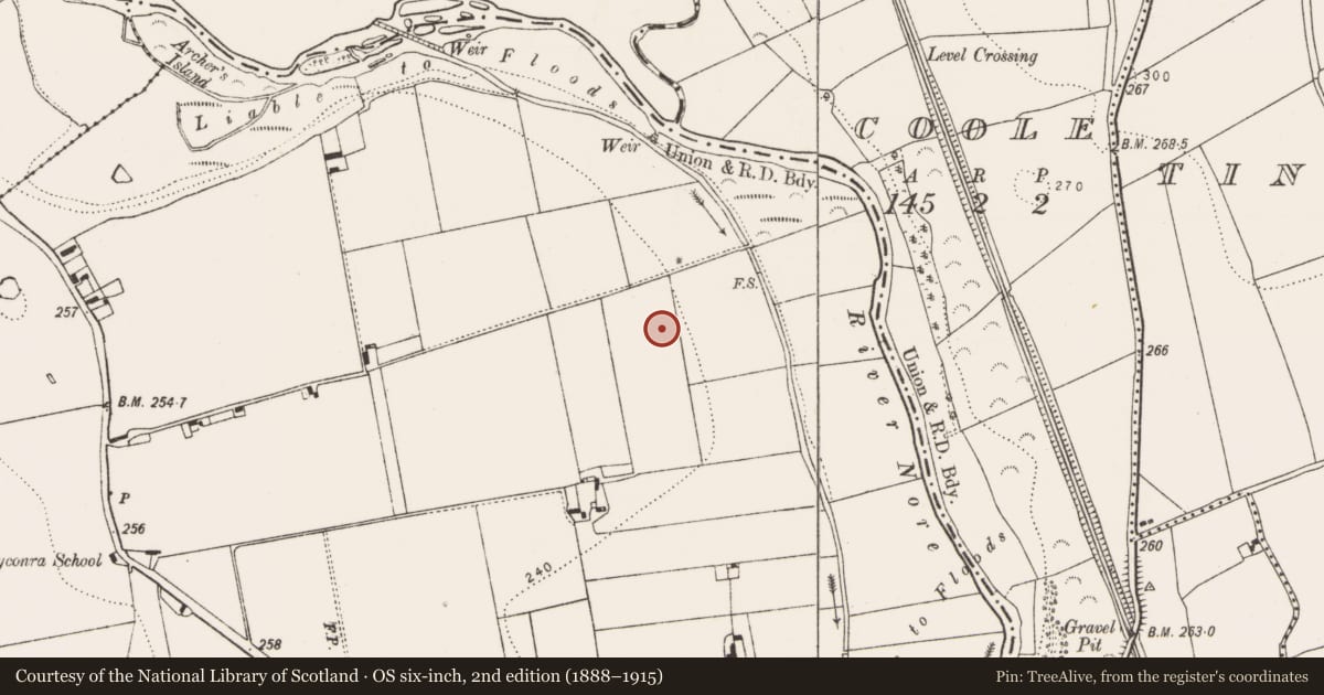 Ordnance Survey six-inch map, 2nd edition (1888–1915) covering the location of Ring-ditch, Ballyconra, County Kilkenny, with a pin at the register's coordinates
