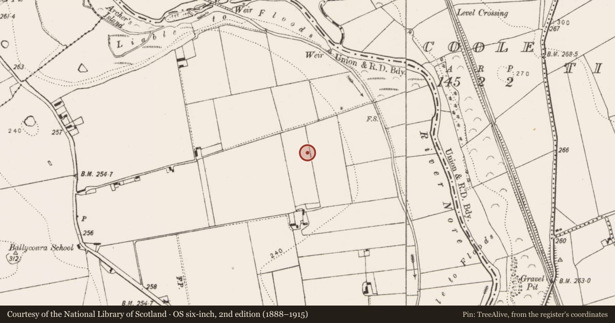 Ordnance Survey six-inch map, 2nd edition (1888–1915) covering the location of Ring-ditch, Ballyconra, County Kilkenny, with a pin at the register's coordinates