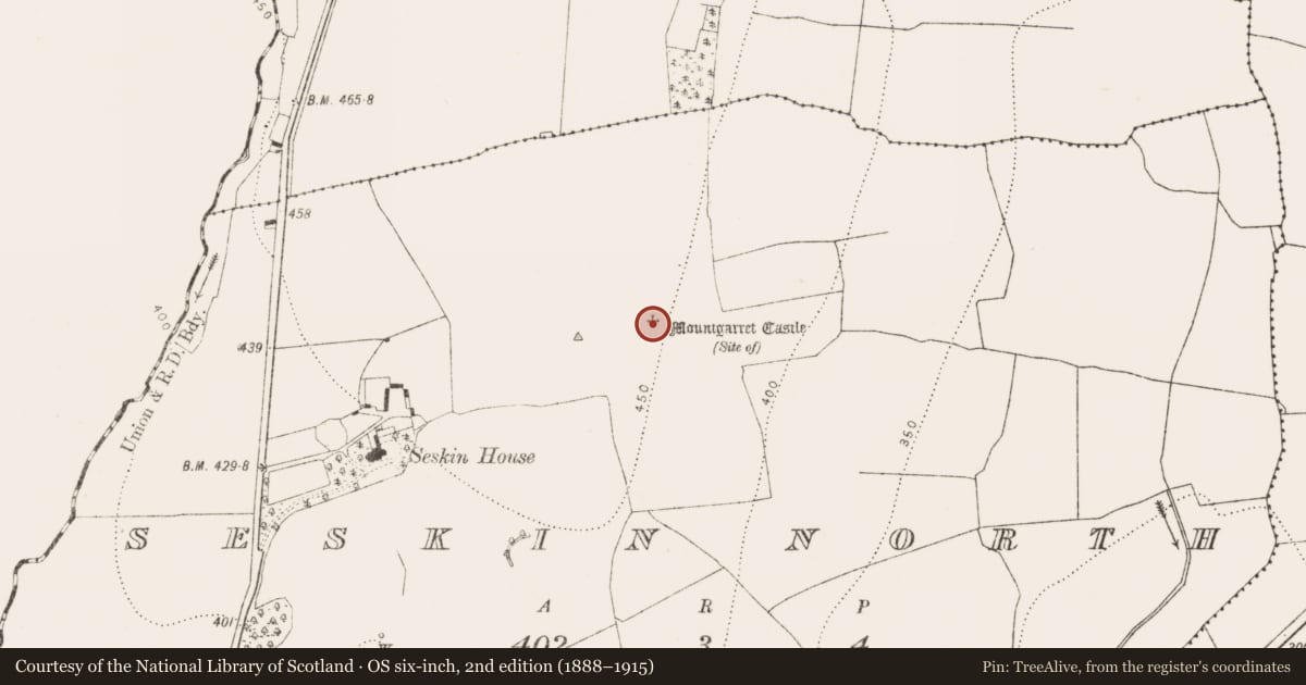 Ordnance Survey six-inch map, 2nd edition (1888–1915) covering the location of Castle - unclassified, Seskin North, County Kilkenny, with a pin at the register's coordinates
