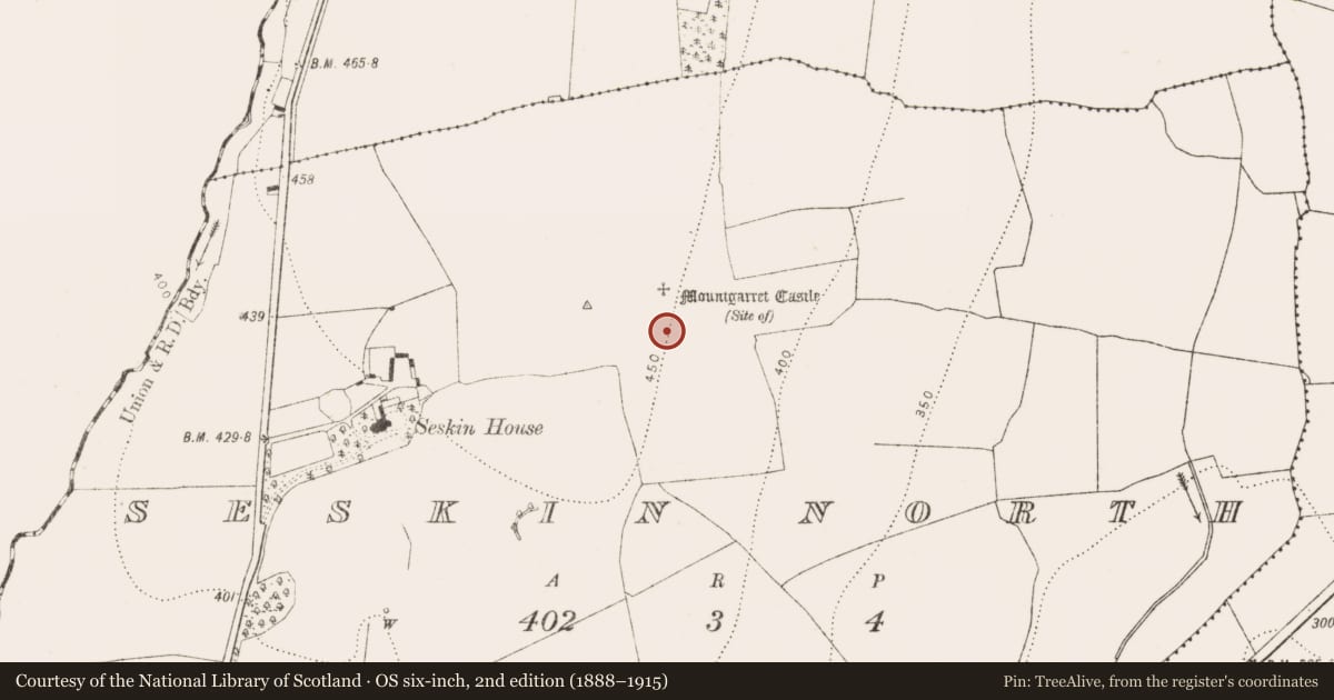 Ordnance Survey six-inch map, 2nd edition (1888–1915) covering the location of Earthwork, Seskin North, County Kilkenny, with a pin at the register's coordinates