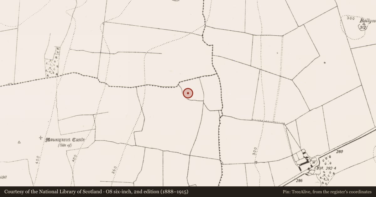 Ordnance Survey six-inch map, 2nd edition (1888–1915) covering the location of Ringfort - rath, Seskin North, County Kilkenny, with a pin at the register's coordinates