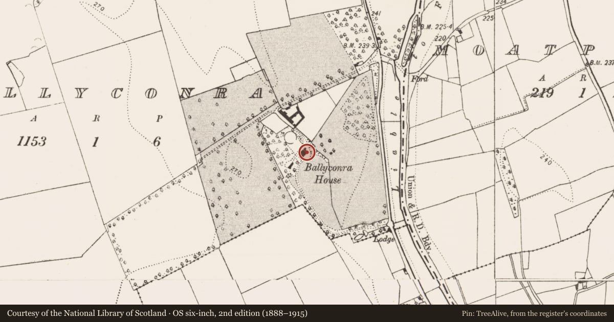 Ordnance Survey six-inch map, 2nd edition (1888–1915) covering the location of Armorial plaque (present location), Ballyconra, County Kilkenny, with a pin at the register's coordinates