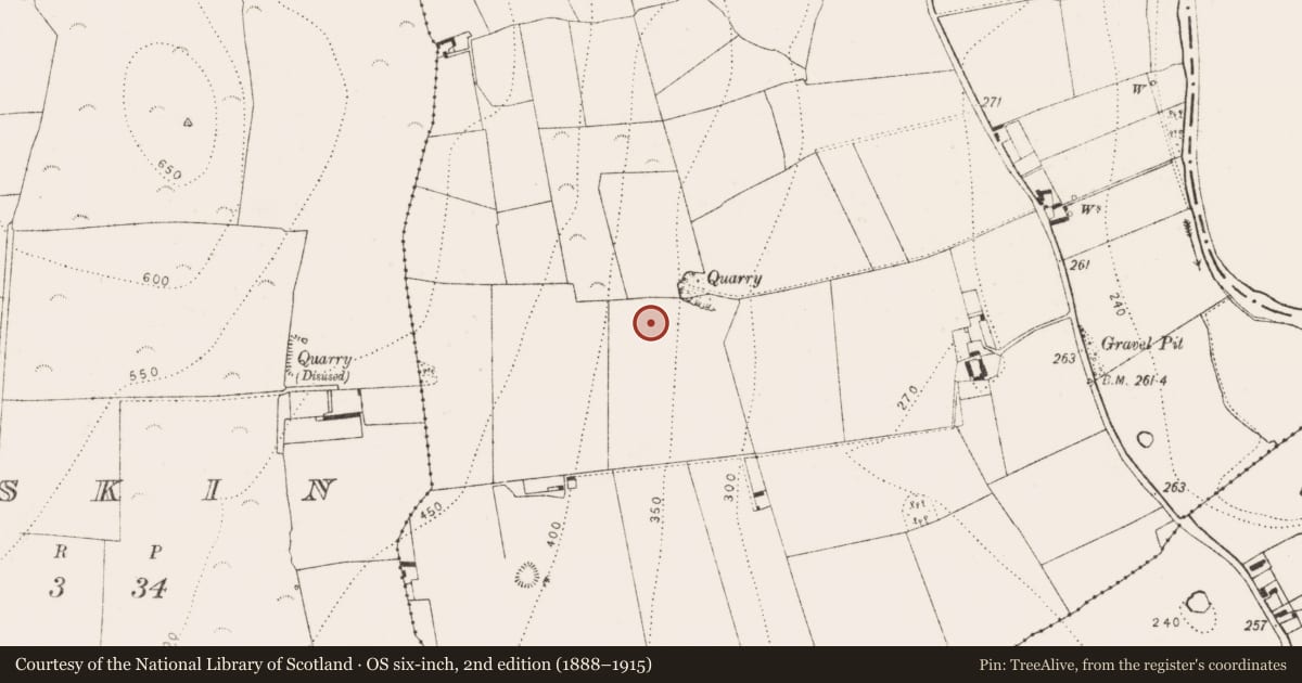 Ordnance Survey six-inch map, 2nd edition (1888–1915) covering the location of Ringfort - rath, Ballynaslee, County Kilkenny, with a pin at the register's coordinates