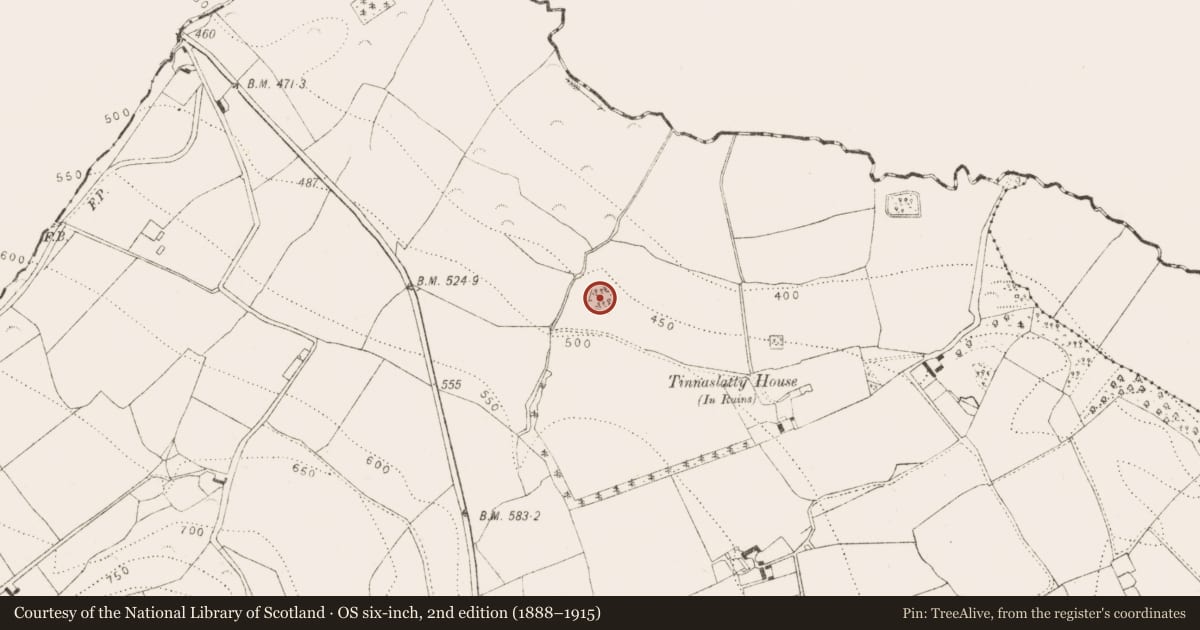 Ordnance Survey six-inch map, 2nd edition (1888–1915) covering the location of Moated site, Tinnaslatty, County Kilkenny, with a pin at the register's coordinates