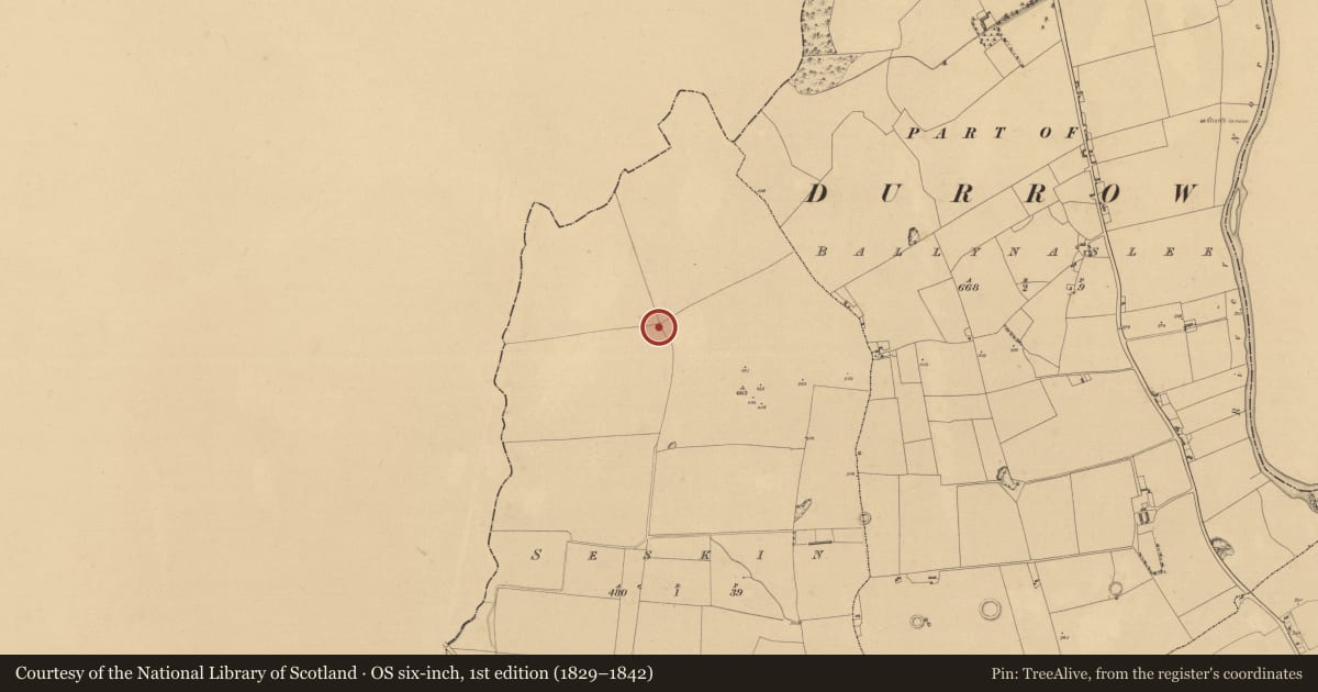 Ordnance Survey six-inch map, 1st edition (1829–1842) covering the location of Ringfort - rath, Seskin, County Kilkenny, with a pin at the register's coordinates