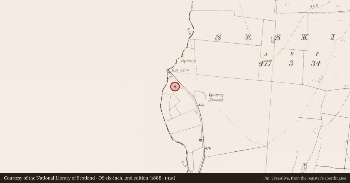 Ordnance Survey six-inch map, 2nd edition (1888–1915) covering the location of Burnt spread, Seskin, County Kilkenny, with a pin at the register's coordinates