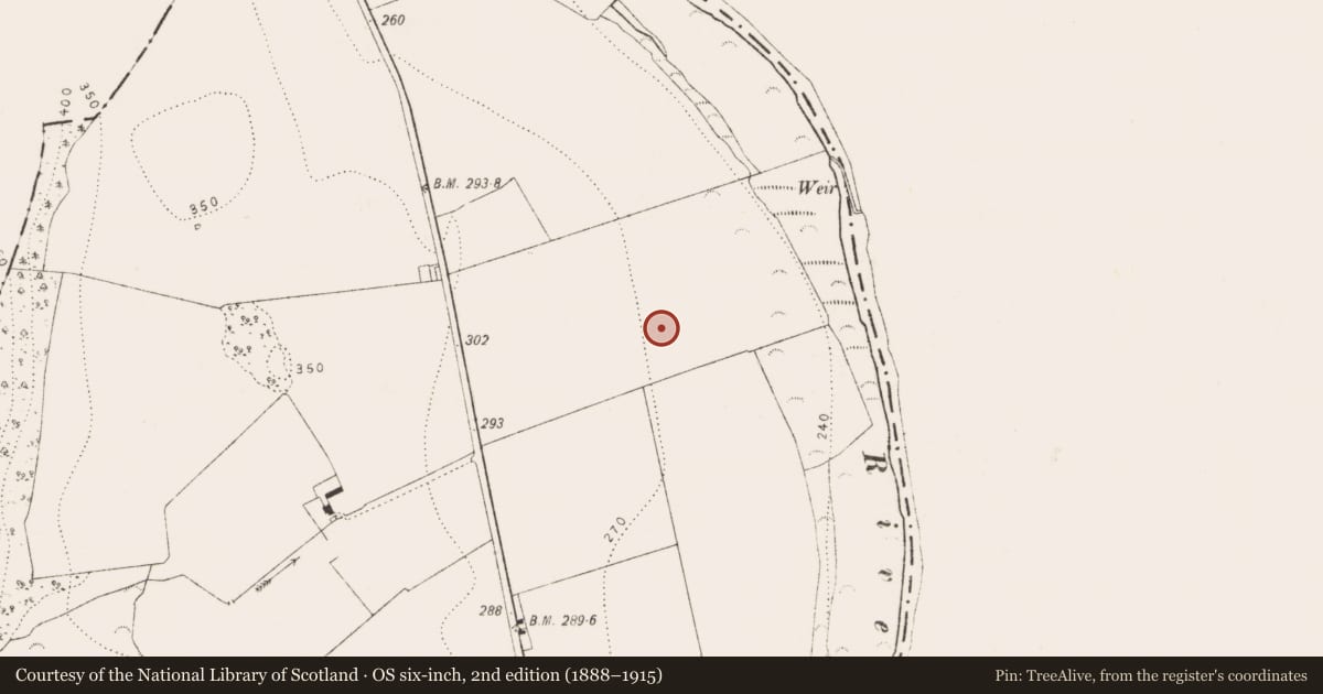 Ordnance Survey six-inch map, 2nd edition (1888–1915) covering the location of Enclosure, Ballynaslee, County Kilkenny, with a pin at the register's coordinates