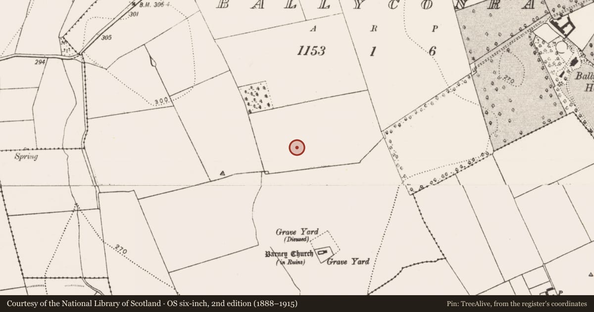 Ordnance Survey six-inch map, 2nd edition (1888–1915) covering the location of Settlement cluster, Ballyconra, County Kilkenny, with a pin at the register's coordinates