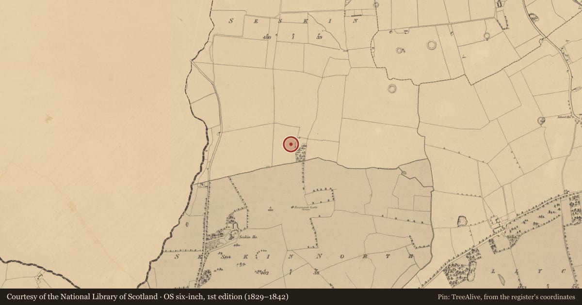 Ordnance Survey six-inch map, 1st edition (1829–1842) covering the location of Enclosure, Seskin, County Kilkenny, with a pin at the register's coordinates
