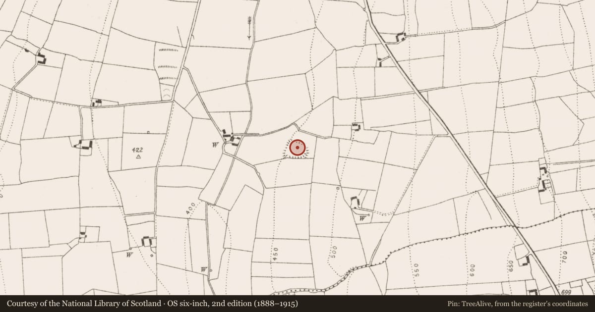 Ordnance Survey six-inch map, 2nd edition (1888–1915) covering the location of Castle - ringwork, Ballyoskill, County Kilkenny, with a pin at the register's coordinates