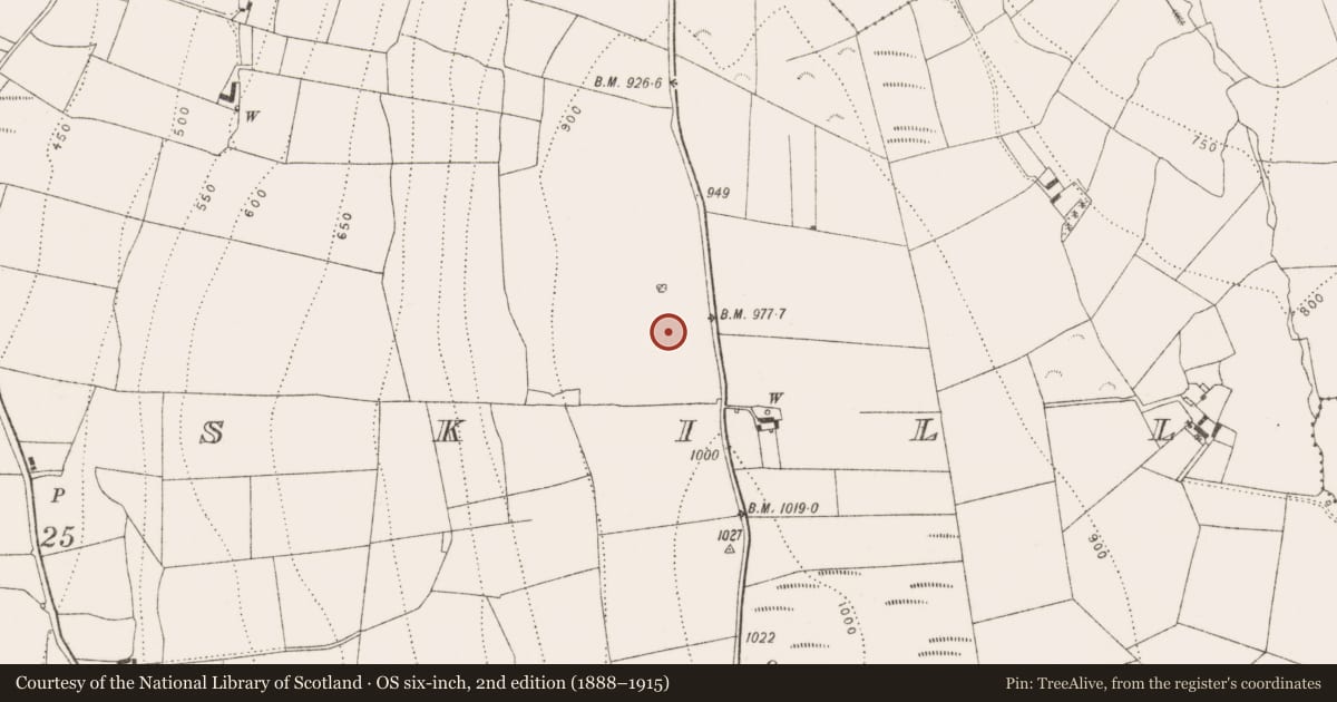 Ordnance Survey six-inch map, 2nd edition (1888–1915) covering the location of Cairn - unclassified, Ballyoskill, County Kilkenny, with a pin at the register's coordinates