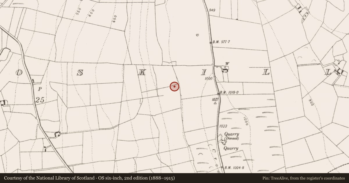 Ordnance Survey six-inch map, 2nd edition (1888–1915) covering the location of Cursus, Ballyoskill, County Kilkenny, with a pin at the register's coordinates