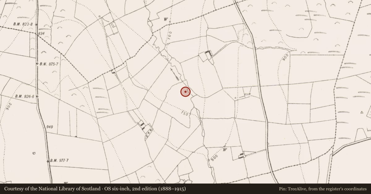 Ordnance Survey six-inch map, 2nd edition (1888–1915) covering the location of Ringfort - rath, Ballyoskill, County Kilkenny, with a pin at the register's coordinates