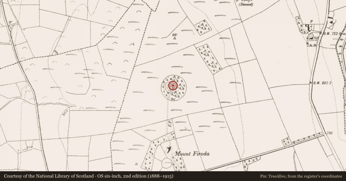 Ordnance Survey six-inch map, 2nd edition (1888–1915) covering the location of Designed landscape feature, Firoda Upper, County Kilkenny, with a pin at the register's coordinates